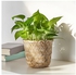 KLYNNON Plant pot, handmade bamboo, 15 cm - IKEA
