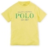 Ralph Lauren For Boys 4 US , Multi Color - T-Shirts