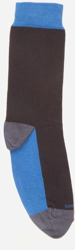 Cottonil Hose Socks -Black, Dark Grey & Blue