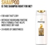 Pantene - Pro-V Moisture Renewal Shampoo 600 ml- Babystore.ae
