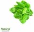 Baby Spinach (Chemical Free)