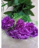 Artificial Carnation Flowers for Multiple Occasions - Fuchsia