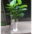 Artificial Plant With Vase
