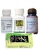 Green World PROSTATE DISEASE CURE PACK