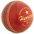 Shield Cricket Ball-One Size