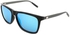 Polarized Wayfarer Sunglasses