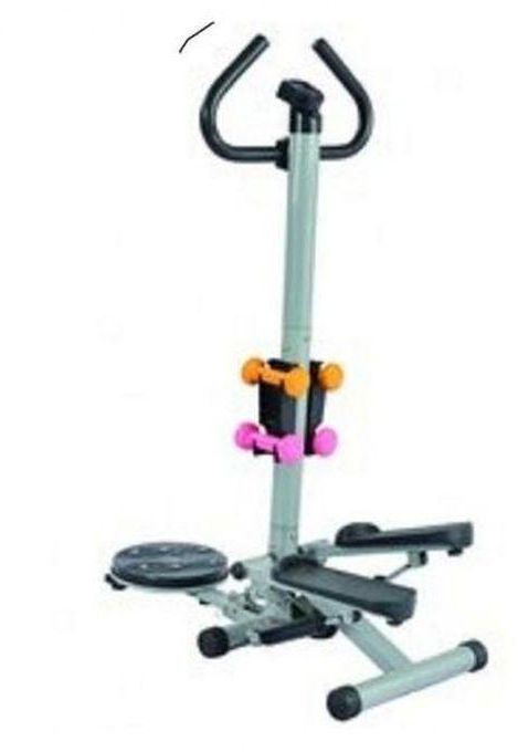 Body Fit Standing Stepper With Twister And Dumbbells