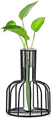 Toshionics Glass Vases Metal Rack Stand Clear Flower Vase Set, Nordic Style Geometric Shape Glass Iron Art Vase Plant Containers for Dry Flower Holder Home & Wedding Decoration (BLACK)