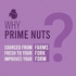 Prime Nuts Fruits Chips | High in Protein & Antioxidants | Rich in Multivitamins & Minerals | Dietary Fibre | Healthy Immune System | Healthy Ready to Eat Snacks | 35 gm