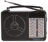 Golon RX-607AC Radio - Black