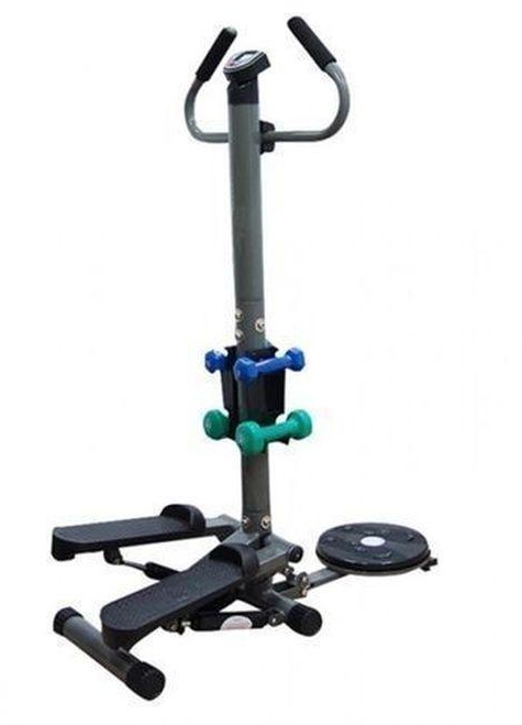 Standing Stepper With Twister & Dumbbells