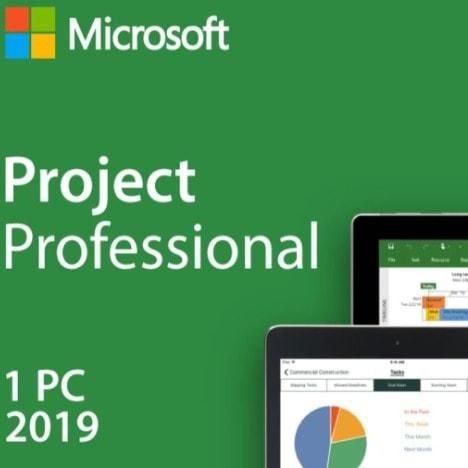 Project Professional 2019 License - 1 User