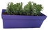 Rosemary Herbs Large Rectangular Pot, 50x17 cm - KP8
