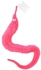 Allwin NEW Magic Twisty Worm Wiggle Moving Sea Horse Kids Trick Toy Caterpillar Red-Pink