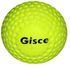 Gisco Dimples Leather Hockey Ball