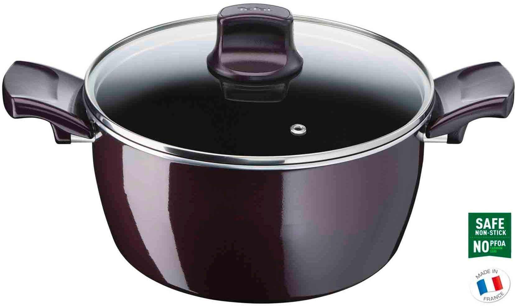 Tefal G6 Resist Intense Stew Pot With Lid Burgundy 22cm