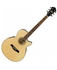 Ibanez AEG8E-NT Acoustic guitar