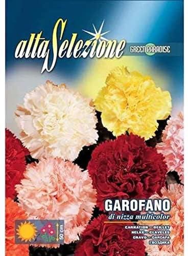 Alta Selezione Carnation Garofano di Nizza Multicolor Premium Quality Seeds