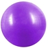 65cm Fitness Exercise Yoga Pilates Balance Stability Aerobic Core Gymnastic Ball 65centimeter