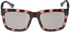 Calvin Klein Platinum Square Shiny Turtoise Women's Sunglasses - CK3179S - 55-20-140