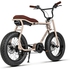 Ruff Men's E-Bike Lil'Buddy Special Edition Pedelec With Bosch Active-Line 300 Wh Fano Grey 20"