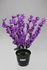Muve Apricot Flower Vase With Cheerful Colors