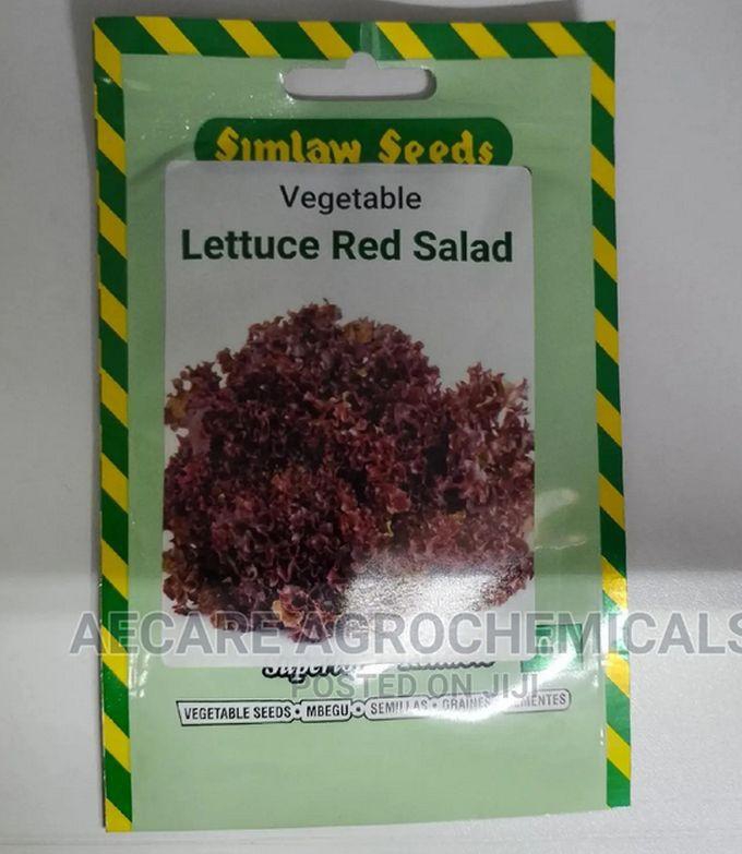 SIMLAW SEEDS Lettuce Red Salad Vegetable 10G