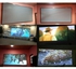 100" Inch Projector Screen - Projection Screen