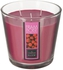 Comptoir de la Bougie Nina 3-Wick Scented Wax Candle (500 g, Raspberry)