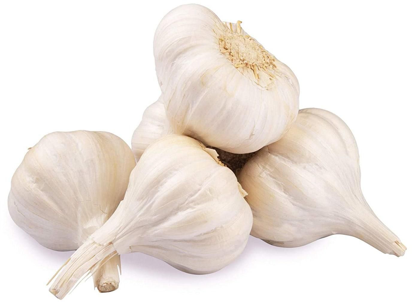 Balady White Garlic