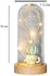 Vase Feather Cactus With Fairy String Lights In Dome For Christmas Valentine's Day Gift(A5950) - 16X7.5 CM LED Light