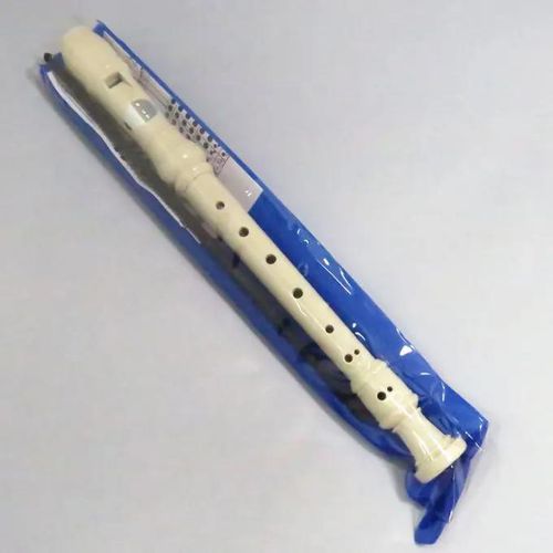 6 Holes Soprano Flute Recorder For Beginners and CBC Curriculumn.