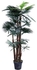 PAN Home Fortunei Palm Tree With Pot, Green, 150 cm