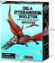 4M KidzLabs | Dig a Pteranodon Skeleton | Resurrect a Skeleton of a Dinosaur |