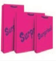 Pink Surprise Shopr Gift Bag 1