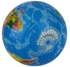 Globe Pattern Toy Ball