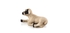 MOJO Animal Figurine Toy - Black Faced Lamb Laying down Small- Babystore.ae