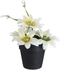 Get Plastic Round Vase With Flowers, 12 Cm - White with best offers | Raneen.com