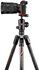 Manfrotto Befree GT Carbon fibre designed for α cameras from Sony