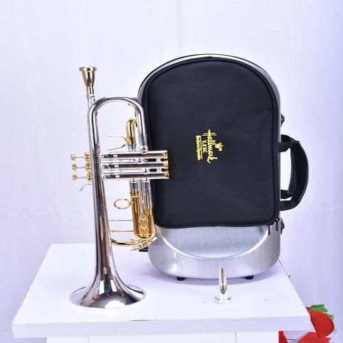 Hallmark Uk Professional Trumpet