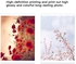 مجموعة لوازم طابعة الصور HPRT خرطوشة حبر ملونة و54 ورقة ورق صور مقاس 4 × 6 بوصة متوافقة مع طابعة الصور الملونة المحمولة CP4000L
