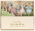 Meri Meri - Peter Rabbit & Friends Party Picks- Babystore.ae