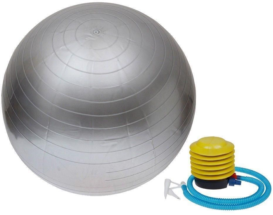 Fitness Exercise Swiss Gym Fit Yoga Core Ball 65CM Abdominal Back Workout - Silver