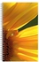 دفتر ملاحظات بطبعة وسلك حلزوني مقاس A4 متعدد الألوان