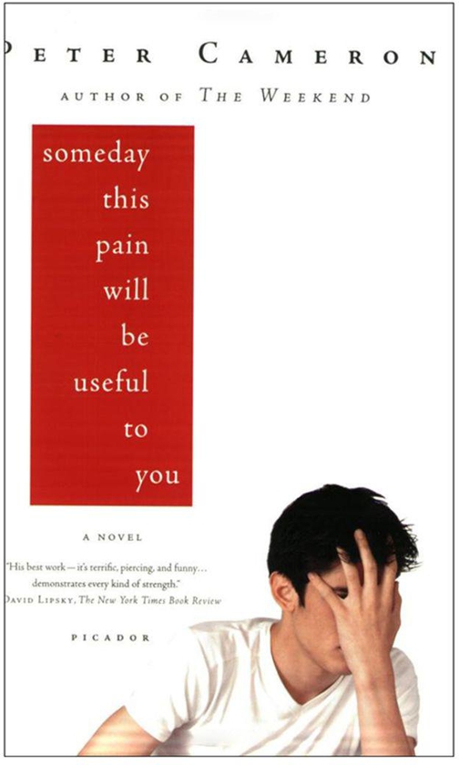 Someday This Pain Will Be Useful To You Paperback