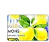 PRINTED BANK CARD STICKER Delicious Lemons Drawing