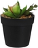 Get Round Plastic Vase, 8×7 Cm - Black Green with best offers | Raneen.com