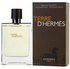 Hermes Terre D'Hermes Perfume For Men EDT 100ml