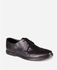 Divinch Wing Toe Casual Shoes - Black