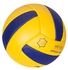 SPORT Pride FIVB VolleyBall Balls